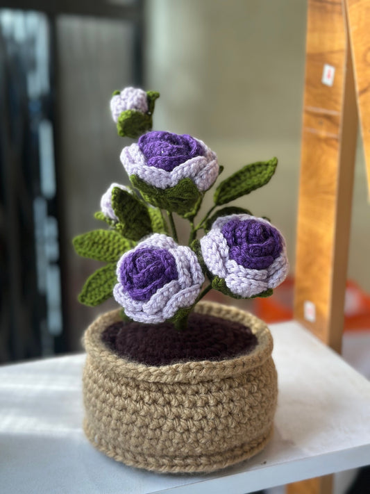 Purple Rose pot