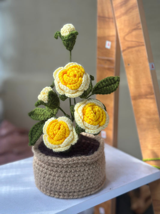 Yellow Rose pot