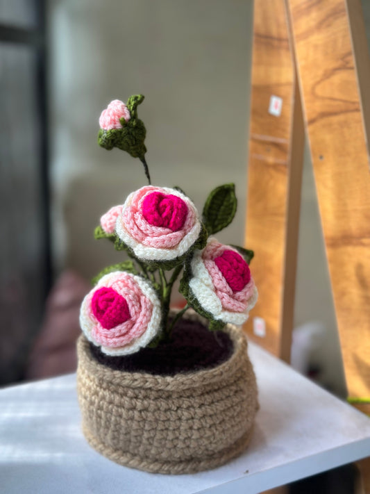 Pink Rose pot