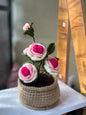Pink Rose pot