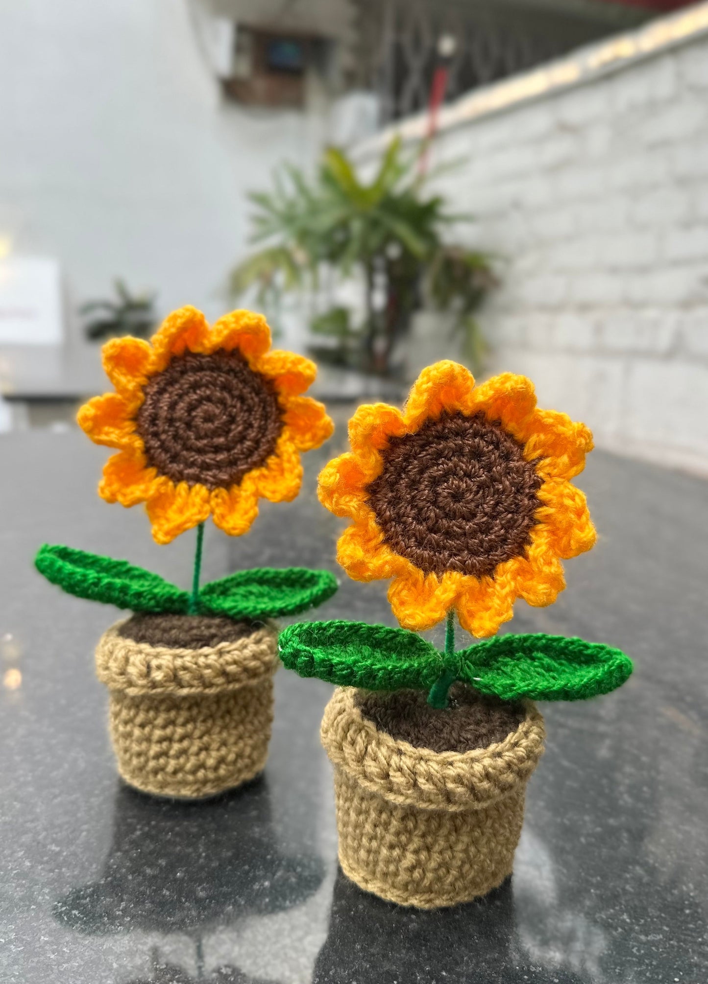 Sunflower pot