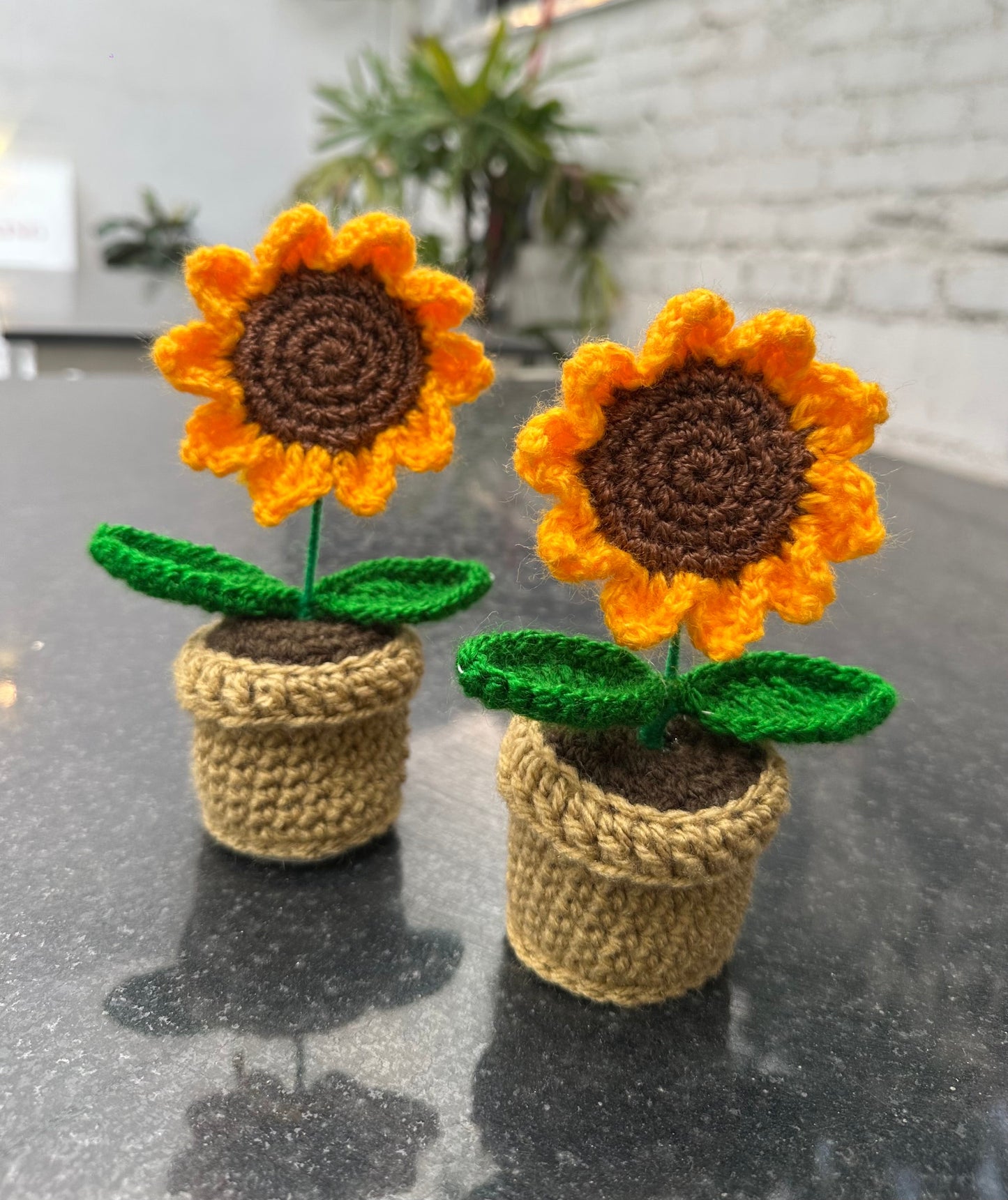 Sunflower pot