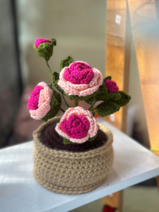 Dark pink Rose pot